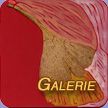 Galerie